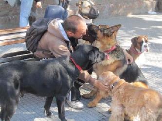 CITY TOURS IN BUENOS AIRES  Y SUS  PASEADORES DE PERROS DE BUENOS AIRES  City tours in Buenos Aires