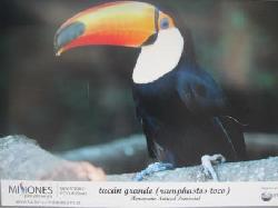 CITY TOURS IN BUENOS AIRES  EL TUCAN ARGENTINO  City tours in Buenos Aires