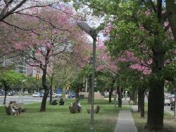 Visita a Buenos Aires City tours in Buenos Aires